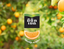 MINUTE MAID ESSENTIALS (HIM)