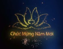 VIETNAM AIRLINES